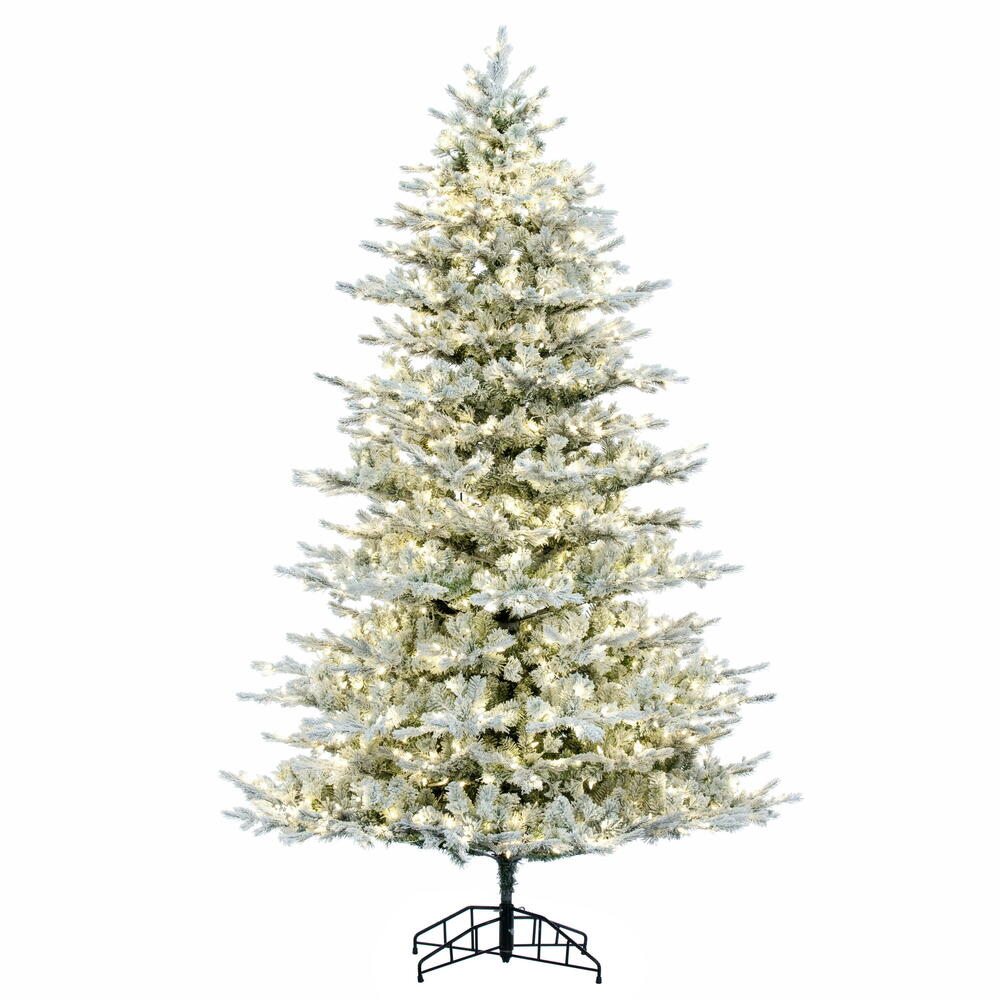 K173476LED - Flocked Kiana Pine Christmas Tree | Vickerman