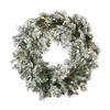 Photograph of 24" Flocked Kiana Wreath Dura-Lit 50WW