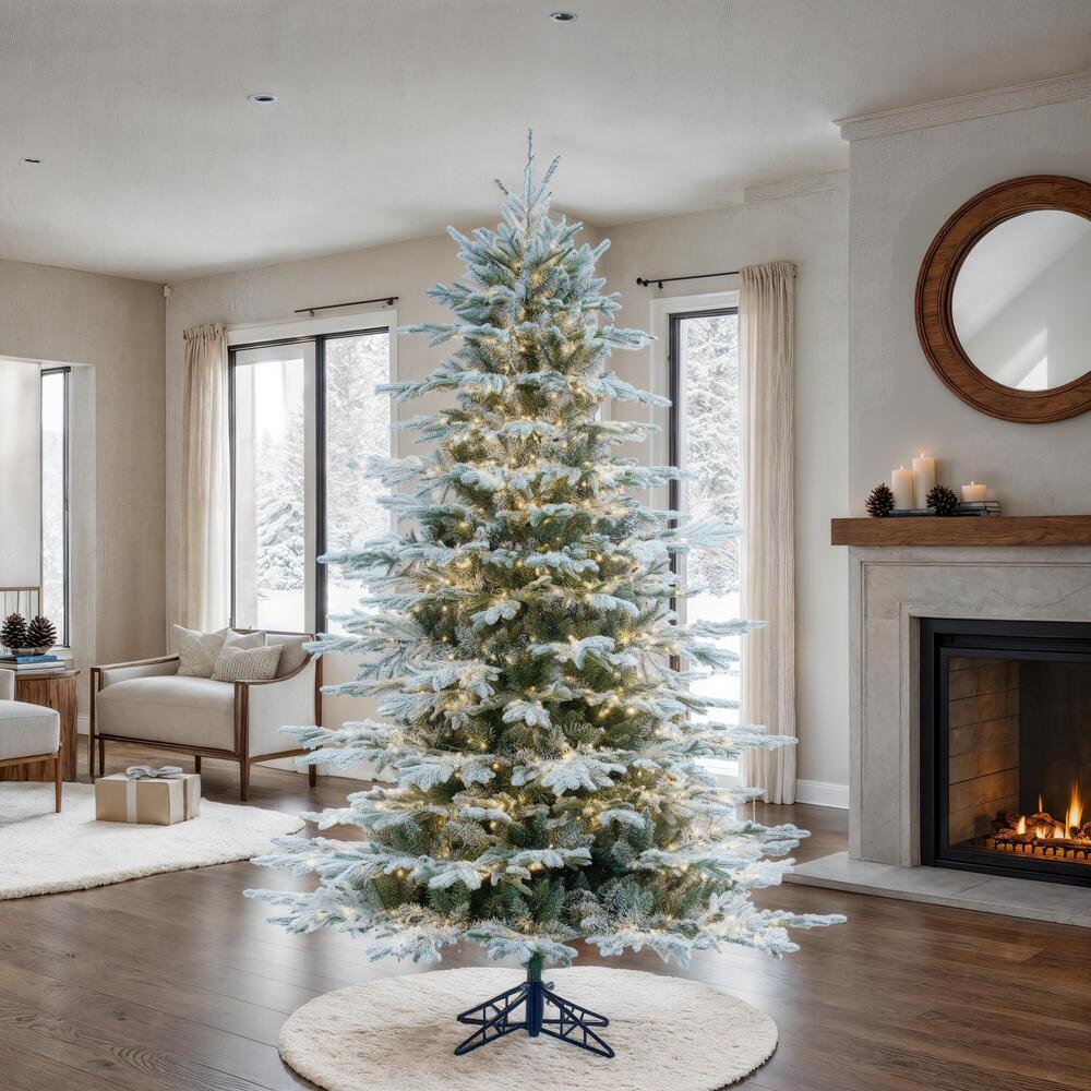 K185446LED - Flocked Kamas Fraiser Fir Christmas Tree