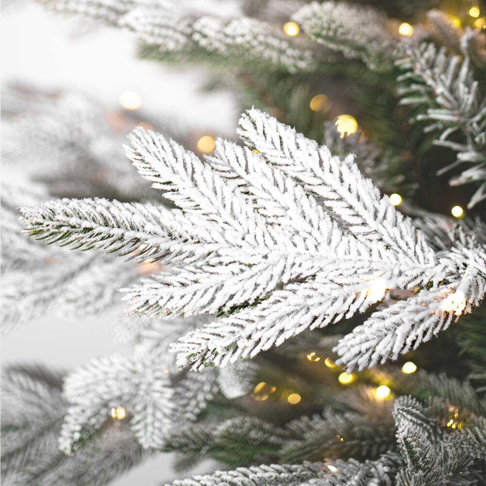 K185446LED - Flocked Kamas Fraiser Fir Christmas Tree