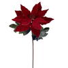 Photograph of 22" Merry Red Velvet Poinsettia 3/Bag