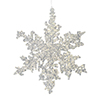 Photograph of 5" Clear Snowflake Silver Glitter 6/Bag