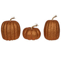 Pumpkins Set