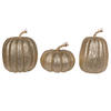 Photograph of 8" Champagne Pumpkins Assorted Set of 3