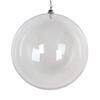 Photograph of 6" Clear Ornament 2/Bag