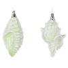 Photograph of 4" Celadon Conch Shell Glitter 4/Set