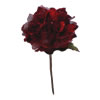 Photograph of 29" Red Velvet Hydrangea 7" Flower
