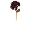 Photograph of 29" Burgundy Velvet Hydrangea 7" Flower