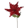 Photograph of 31" Red Poinsettia, 15" Flower 3/Bag