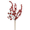 Photograph of 18" Mixed Red Gooseberry Berry Pick 6/Bg