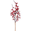 Photograph of 18" Red Wild Outdoor Berry Pick