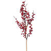 Photograph of 30" Red Wild Outdoor Berry Spray