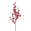 Photograph of 18" Fall Wild Outdoor Berry Pick