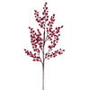 Photograph of 24" Red Crab Apple Mixed Berry Spray 3Bg