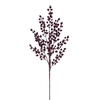 Photograph of 24" Burgundy Crab Apple Berry Spray 3/Bg