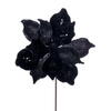 Photograph of 15" Black Deluxe Magnolia 8" Flwr 6/bag