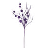 Photograph of 33" Purple Ball/Coin Twig Spray 6/Bg