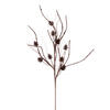 Photograph of 32" Mocha Pinecone Twig Glitr Spray 6/Bg