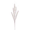 Photograph of 30" White Wheat Glitr Spray 6/Bg