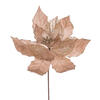 Photograph of 11" Champagne Glitr Mesh Poinsettia 6/Bg