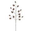 Photograph of 24" Champagne Pinecone Glittr Spray 6/Bg