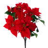 Photograph of 22" Red Poinsettia Bush 4-10-11" Flwr