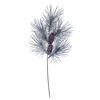 Photograph of 23" Frosted Pine Stem Pinecone 2/Bag
