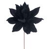 Photograph of 21.5" Black Poinsettia 18" Flower 2/Bag