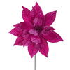 Photograph of 21.5" Hot Pink Poinsettia 18" Flwr 2/Bag