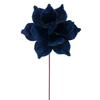 Photograph of 21.5" Mdnt Blue Poinsettia 10" Flwr 6/Bg