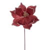 Photograph of 21.5" Rose Gold Poinsettia 10" Flw 6/Bag