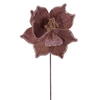 Photograph of 21.5" Mocha Poinsettia 10" Flower 6/Bag