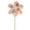 Photograph of 17" Champagne Pearl Magnolia 8" Flwr 2Bg