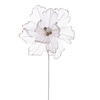 Photograph of 17" Champagne Sheer Poppy 9" Flwr 3/Bag