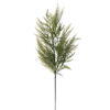 Photograph of 31" Green Cedar Spray UV 2/Bag