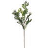 Photograph of 24" Green Douglas Fir Spray 3/Bag