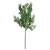 Photograph of 16" Green Stovall Cedar Pine Spray 4/Bag