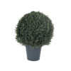 Photograph of 20" UV Pond Cypress Ball in Pot