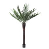 Photograph of 72" UV Kentia Palm w/ 252 Lvs