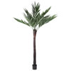 Photograph of 96" UV Kentia Palm w/288 Lvs