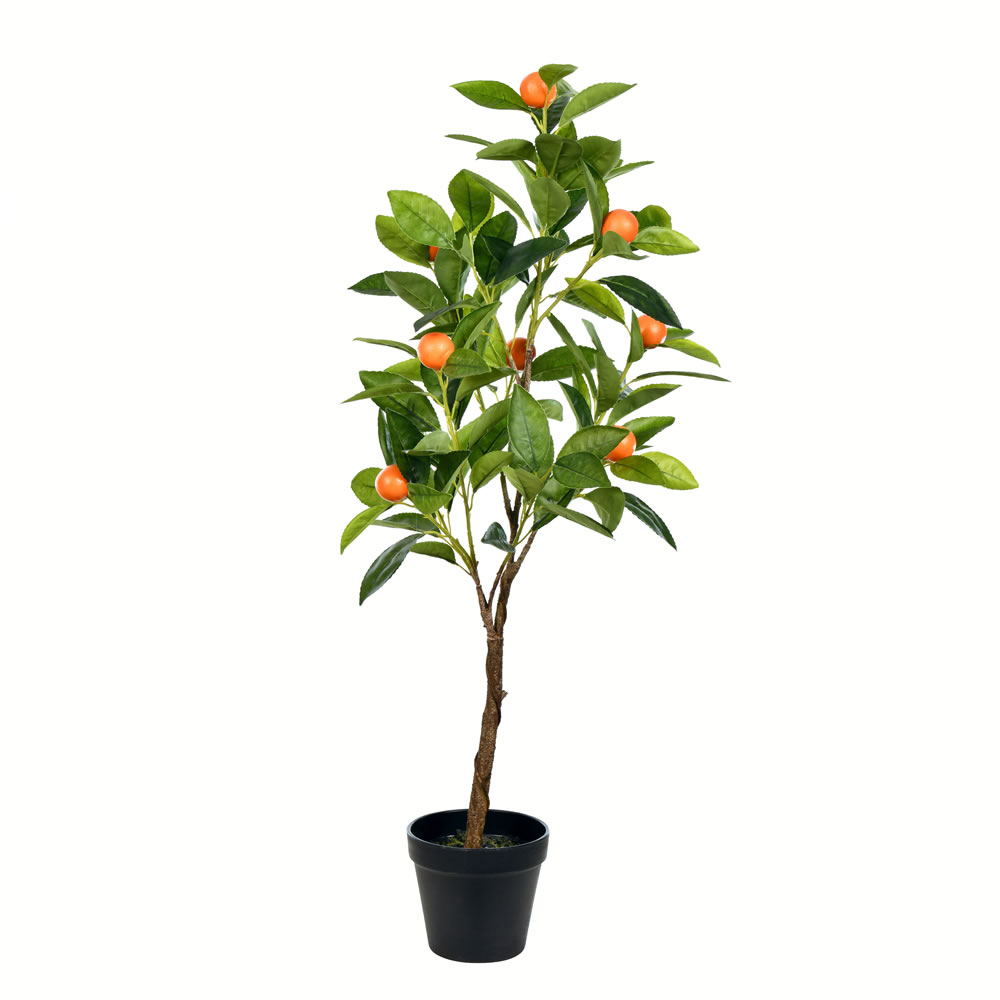 TA170701 - Potted Everyday Trees Everyday Flowering Tree | Vickerman
