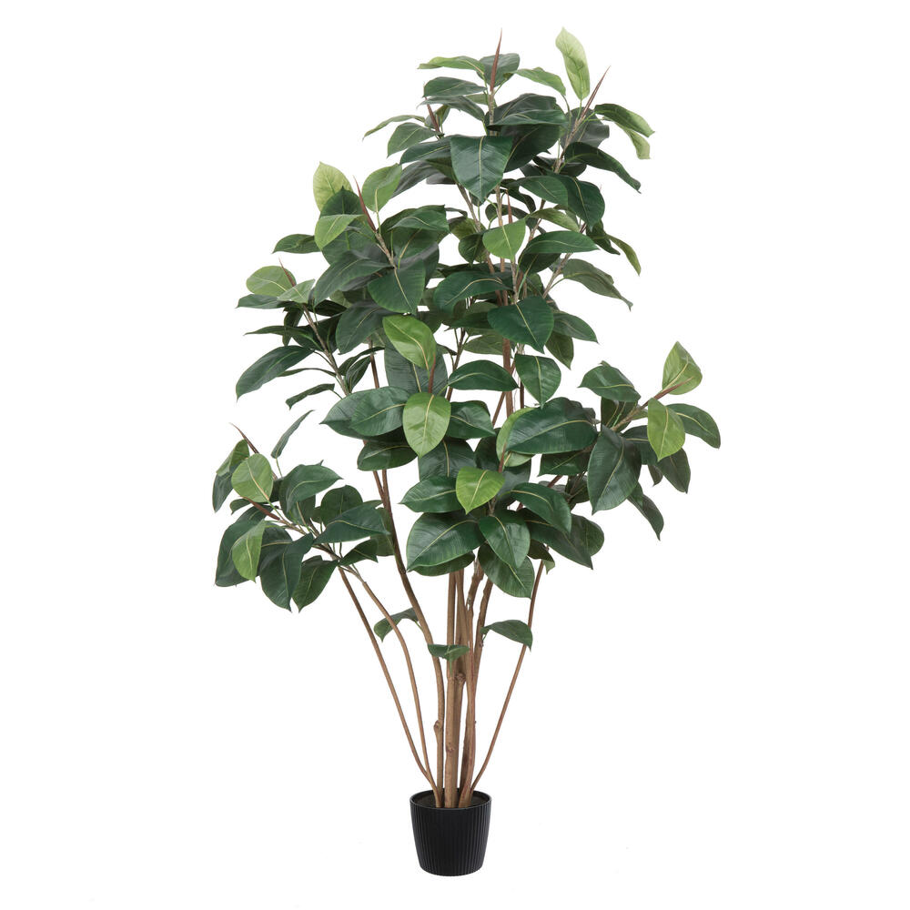 Amazon.com : K-Brands 12 Pack Plant Support Stakes – Heavy