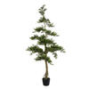 Photograph of 5' Potted Cedar Tree 323Lvs