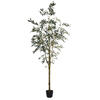 Photograph of 8' Potted Olive Tree 1449Lvs