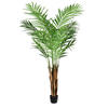 Photograph of 5' Potted Areca Palm 372 Leaves