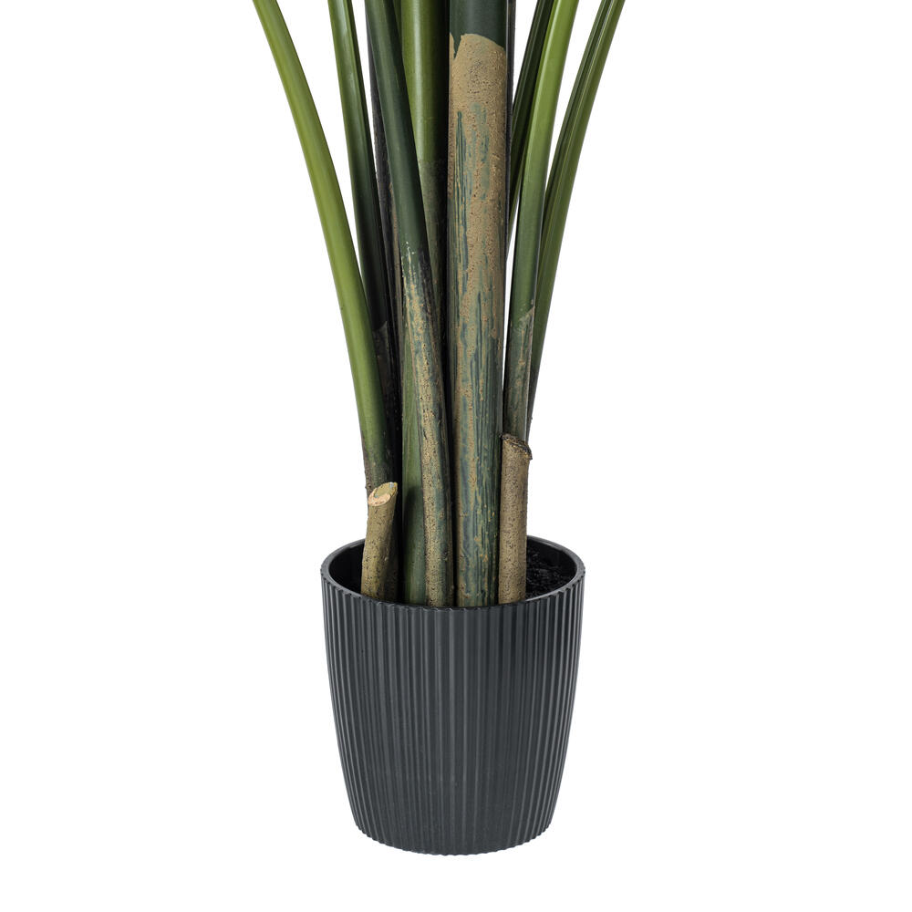 TB190860 - Travelers Palm Everyday Palm | Vickerman