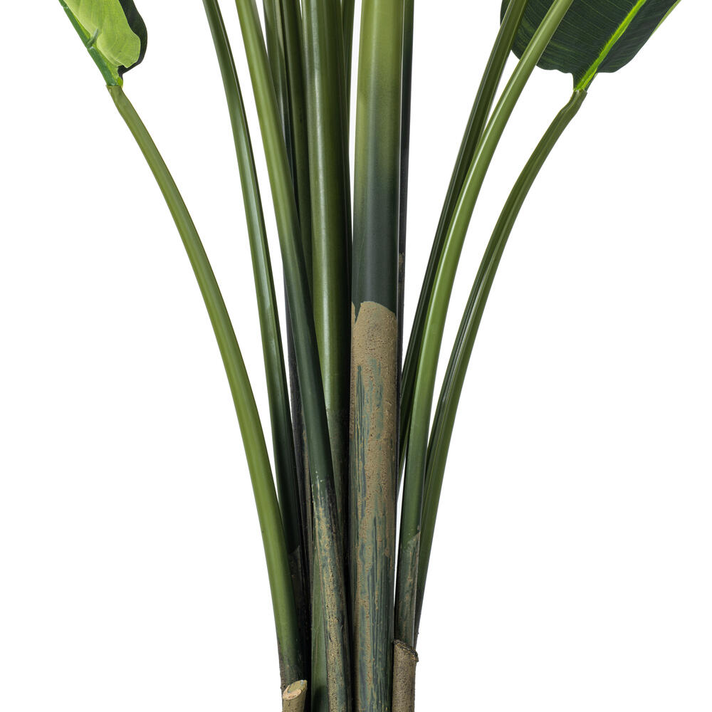 TB190860 - Travelers Palm Everyday Palm | Vickerman