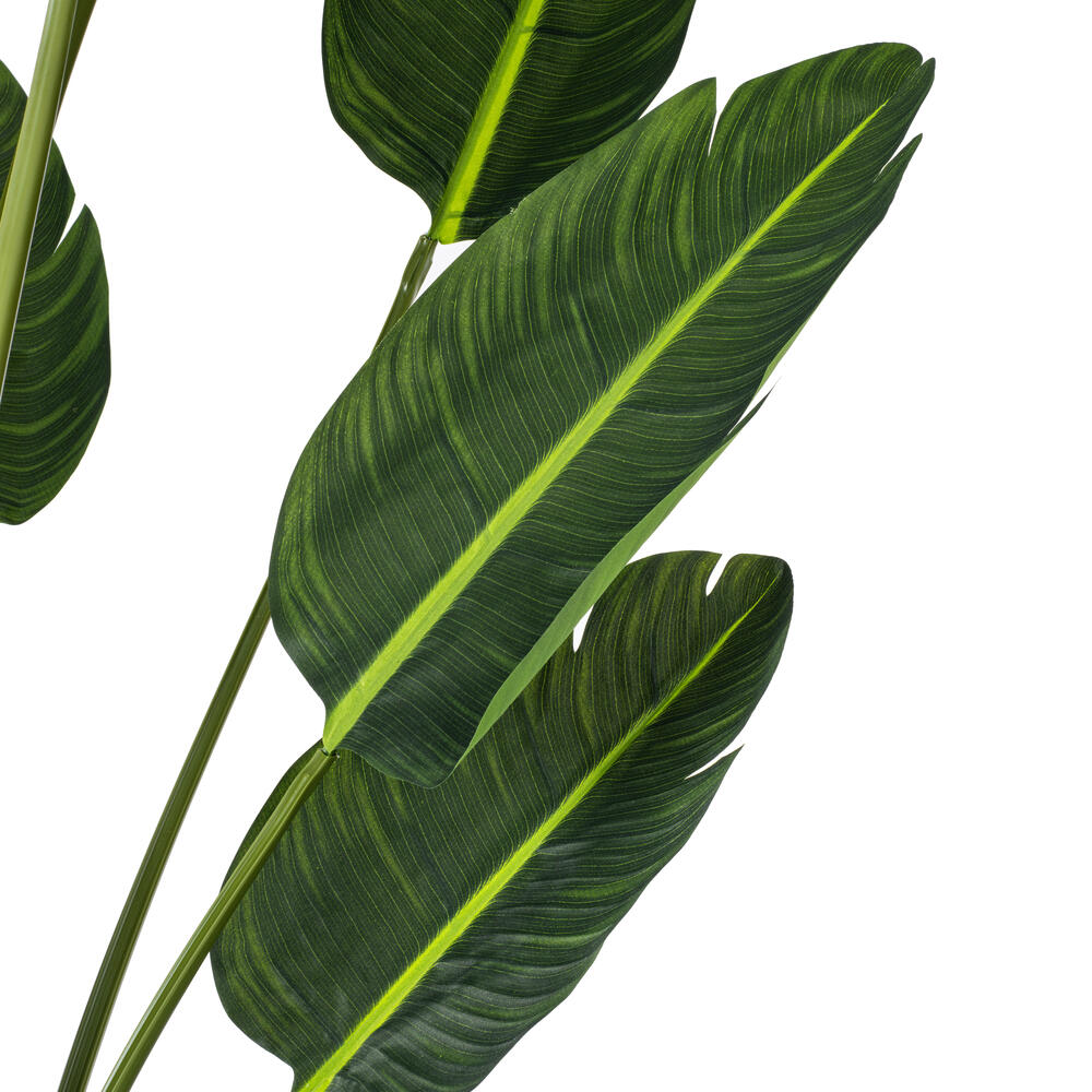 TB190860 - Travelers Palm Everyday Palm | Vickerman