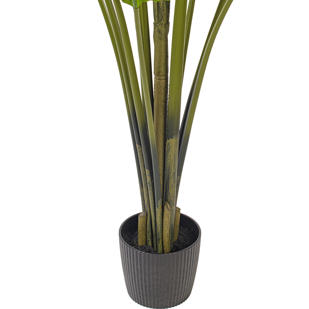 TB190870 - Travelers Palm Everyday Palm | Vickerman