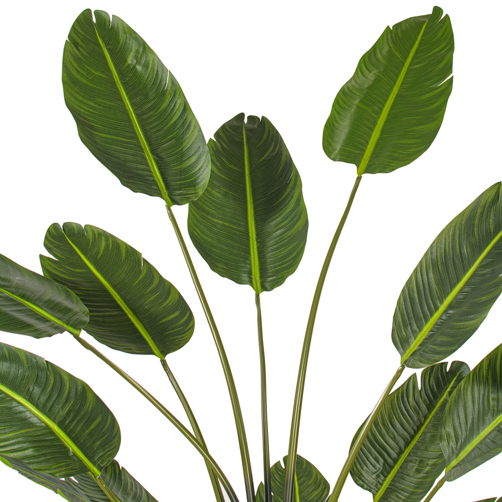 TB190870 - Travelers Palm Everyday Palm | Vickerman